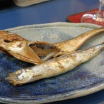 陸奥 こむらさき - シシャモとハタハタ