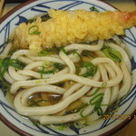 丸亀製麺 - 『かけうどん並』に『大海老天』