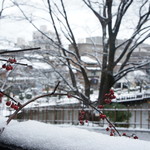 金澤屋珈琲 - テラス席