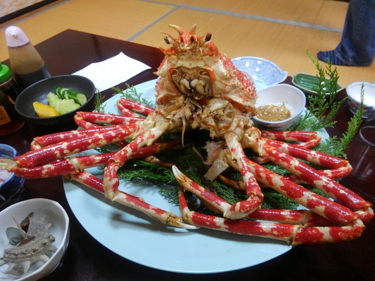 いど荘 name=