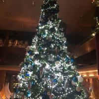 ロビーラウンジ 「マーブルラウンジ」 ヒルトン東京 - 