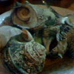 紋乃丞 - 姫さざえ