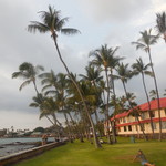 Kona Inn Restaurant - 店外の芝生　良い感じです