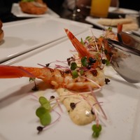 THE COSMOPOLITAN GRILL BAR TERRACE - 