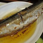 森山 - ざる定食　￥1000　チョイスした魚は秋刀魚のオイルサーディン