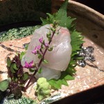 天ぷら 元吉 - ヒラスズキのお造り