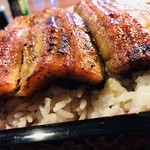 うなぎの 東海亭 - 