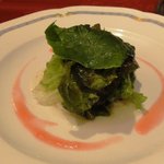 ピジョン - 活蛸のマリネ