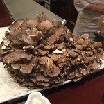 旬彩天 つちや - 天然舞茸