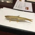 旬彩天 つちや - チアユ