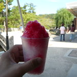 커피 소우코 - いちごかき氷