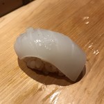 鮨 行天 - スミイカ