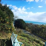 食堂　みつばち - 