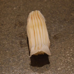 寿し おおはた - 