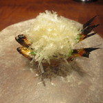 アカ - ホンモロコ　マンチェゴチーズ載せ