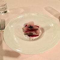 ヌキテパ - 