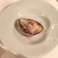 ヌキテパ - 