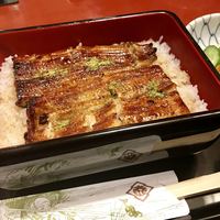 うなぎ割烹 大江戸 - うな重(ふみづき)