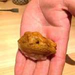 鮨 さかい - きたむらきうに