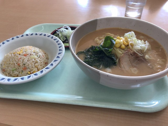 みなみの食堂 唐木田 ラーメン 食べログ