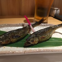 柳家錦 - 
