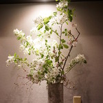 懐石 八泉 - （2017/4）