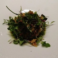 TACUBO - 