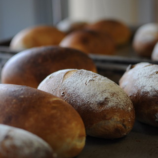 パン チキチキ_2