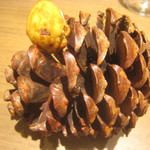 ラチュレ - ケーク・サレ