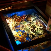 網元 別館 - 