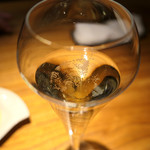 ドディチ・マッジョ - 