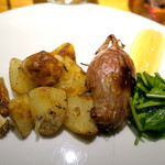 ドディチ・マッジョ - 