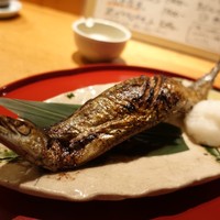 伊豆の旬 やんも 南青山店 - 