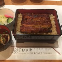 鰻割烹 伊豆栄 本店 - 