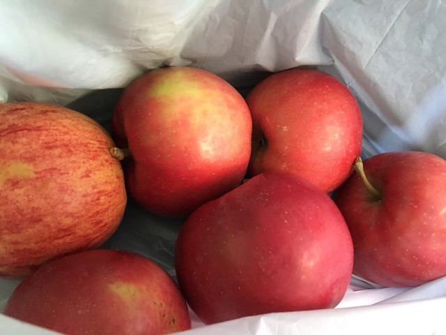 三角山ひろば 琴似 札幌市営 その他 食べログ 三角山ひろば 琴似 札幌市営 その他 食べログ