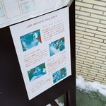 カフェ オリーブ - お店の案内です。