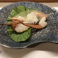 海乃四季 - 