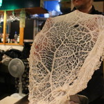 久遠の空 - 網アブラ