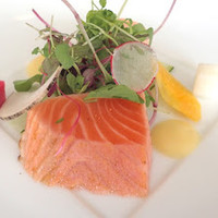 THE KOBECRUISE コンチェルト - 