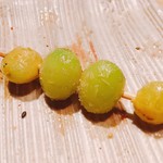 鳥しき - 2017.12.  銀杏