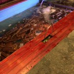 ふくい、望洋楼 青山店 - 