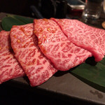 SATOブリアン - カメノコ