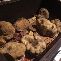 マルゴット エ バッチャーレ - 