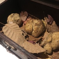マルゴット エ バッチャーレ - 