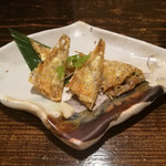 魚菜酒場 つかさ オトンと俺。 - 