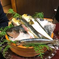魚めし 竹亭 - 全て天然のお魚