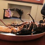 MAVO - ブルーオマール