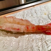 築地青空三代目 本店 - 牡丹海老