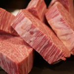 SATOブリアン - シャトーブリアン