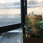 窓際のソファ席